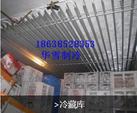 南阳地区冷库建设需求旺盛，华雪制冷助力产业升级